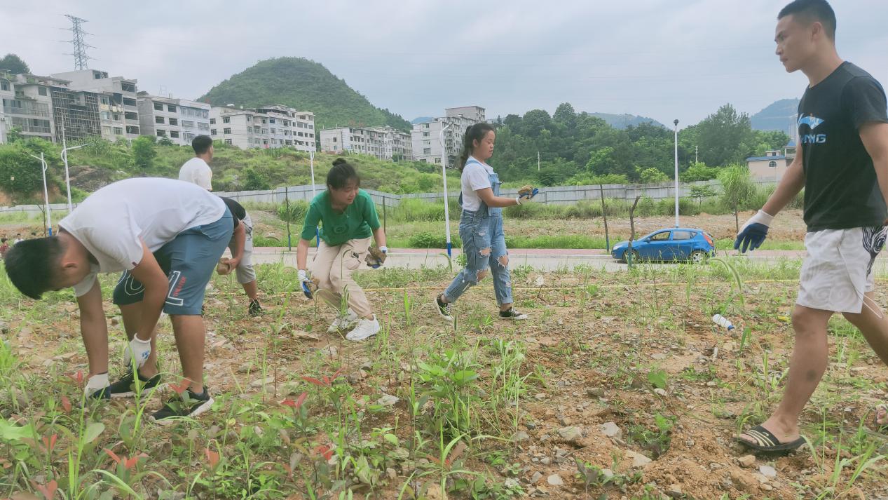 建筑工程学院毕业班学生为学校作贡献(图2)